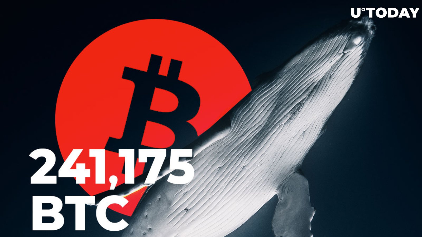 Bitcoin Whales Transfer 241,175 BTC In One Hour